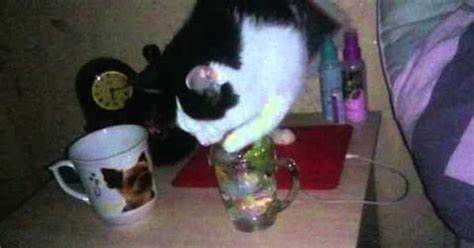 Диета жажда все Имидж ни что - жажда все! | Пикабу Имидж ни что - жажда все! | Пикабу Диета жажда все