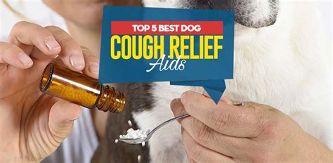 Can You Give Dogs Cough Suppressant