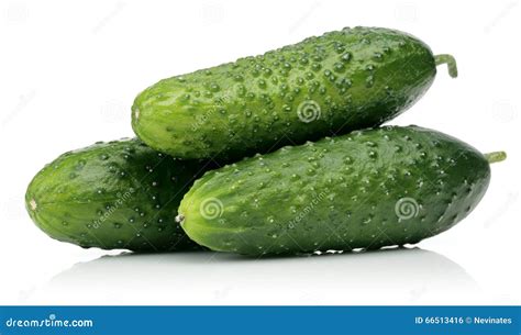 Spiky Cucumbers Stock Photos Free And Royalty Free Stock Photos From