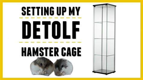 Setting Up My Ikea Detolf Cage Youtube