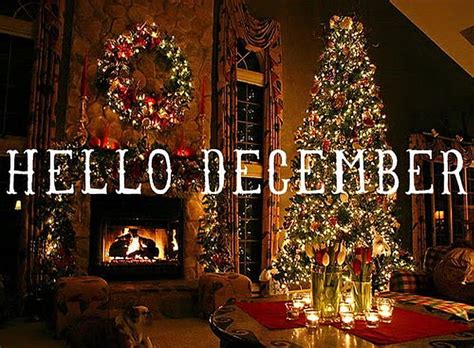 Hello December Christmas Month Tree December Lights Hd Wallpaper