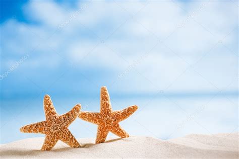 Starfish With Ocean Beach And Seascape — Stock Photo © Lvenks 34200663