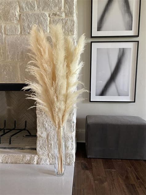 High Quality Preserved Ivory Cream Feathery Pampas Grass Stems Etsy