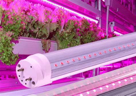 5 Best T8 Grow Lights Review For Indoor Garden On 2021
