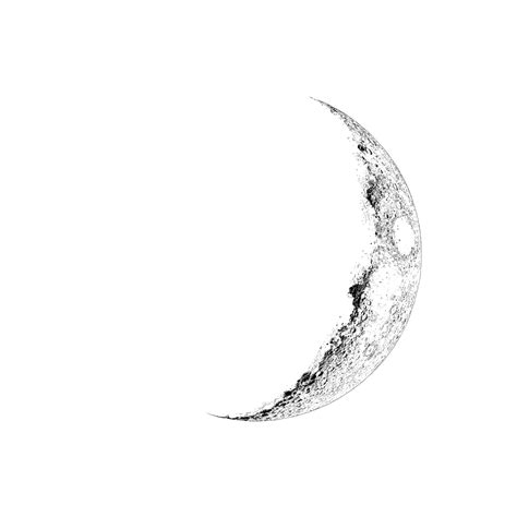 Half Moon Drawing At Getdrawings Free Download