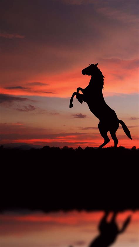 Hipwallpaper is considered to be one of the most powerful curated wallpaper community online. Black Horse iPhone Wallpapers - Top Free Black Horse ...