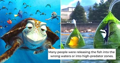 10 Random Facts Fans Didnt Know About Finding Nemo