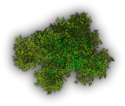 Trees Plan View Png Top View Trees Plans Tree Top View Photoshop Porn