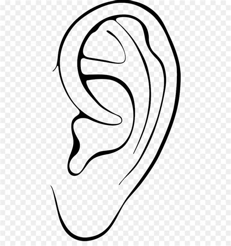 Free Transparent Ear Download Free Transparent Ear Png Images Free