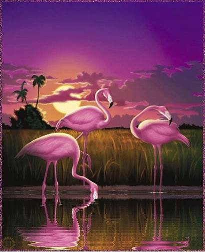 Flamingo Dreamies Von Kunst
