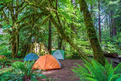 Campsites In Redwood National Park Kids Matttroy