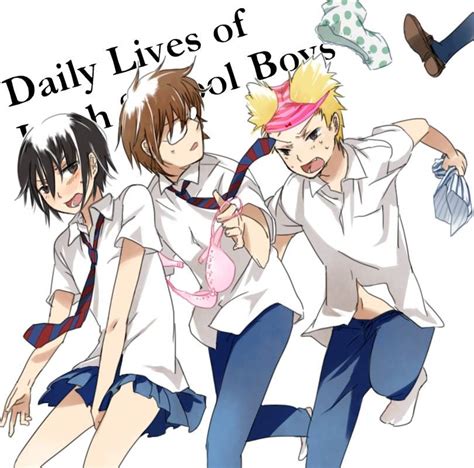 Daily Lives Of High School Boys Wiki Anime Amino