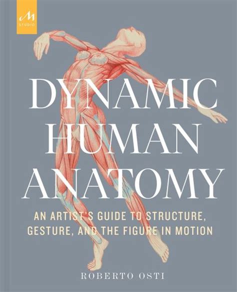Dynamic Human Anatomy An Artists Guide To Structure Gesture And The