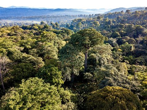 Championing Ethiopia’s Coffee Farmers in the Birthplace of Arabica