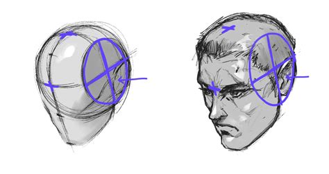 The Loomis Method Of Drawing The Head A Step By Step Guide Gvaat S Workshop Drawing Heads