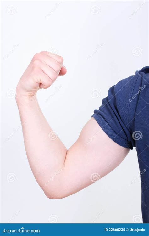Flexed Biceps Isolated On White Stock Image Image Of Hand Biceps