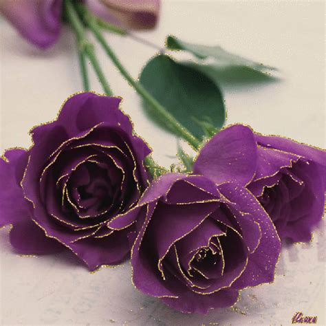 Having Fun With Images Purple Roses Glittering