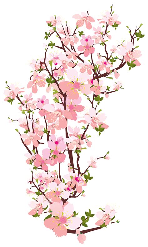 Discover free hd flower png images. Magnolia clipart branch, Magnolia branch Transparent FREE ...