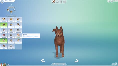 Urozmaicenie Tradycji Tylko Za Jaką Cenę The Sims 4 Psy I Koty
