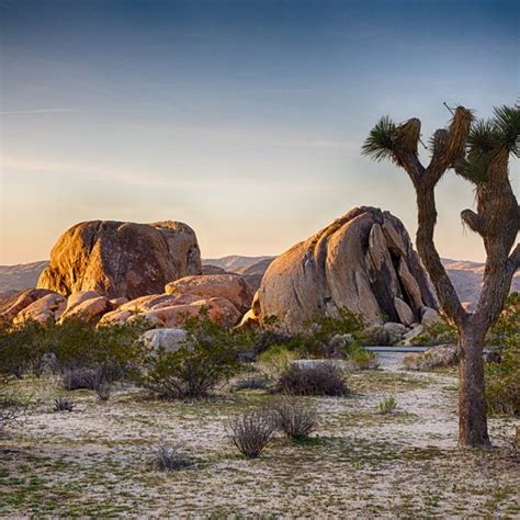 Winter Backpacking In Joshua Tree National Park Usa Today