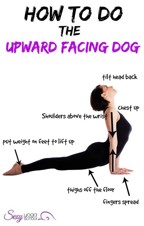 Upward Facing Dog Urdhva Mukha Svanasana Is One Of The Most Common