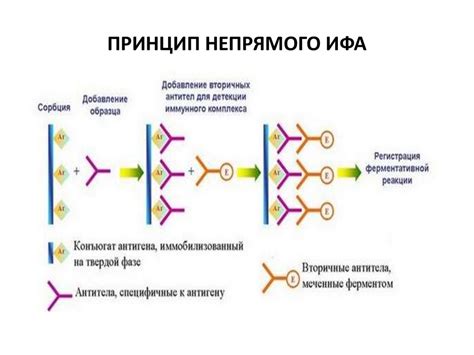 This is called parasitism, a form of symbiosis. Antigen-antibody reactions and selected tests - online ...