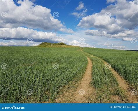 Country Road In A Green Field Stock Photo Image Of Horizon Farm