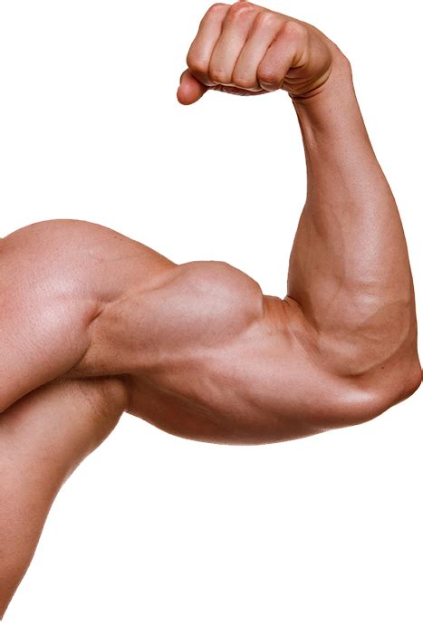 Muscle Transparent Image Png Play