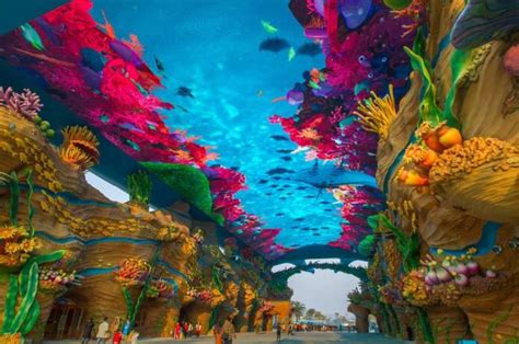 Chimelong Ocean Kingdom Das Größte Aquarium Der Welt