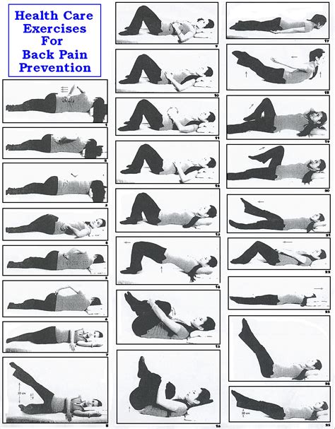 6 Back Pain Exercises Pdf For You Korean Spicy