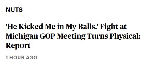 He Kicked Me In My Balls Fight At Michigan GOP Meeting Turns
