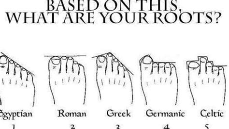 Graphic Suggests Toe Length Denotes Ancestry