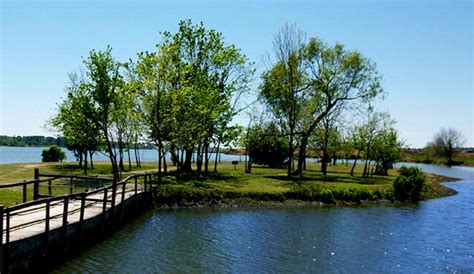 There are currently over 65 rental units in the program including 1, 2 and 3 bedroom condominiums, 3 and 4 bedroom. Park On The Lake ( Lake Conroe ) - Passport America ...
