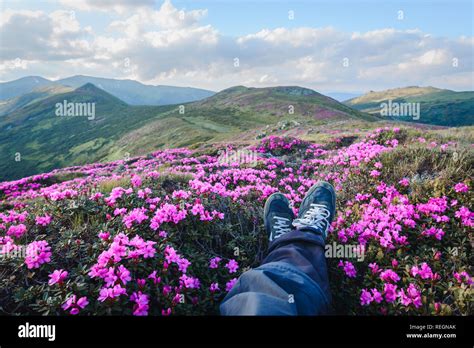 Sky Mountain Flowers Hi Res Stock Photography And Images Alamy