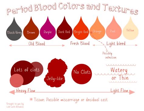 What Is Your Period Blood Telling You About Your Health Freya Graf Yoni Mapping Therapy And