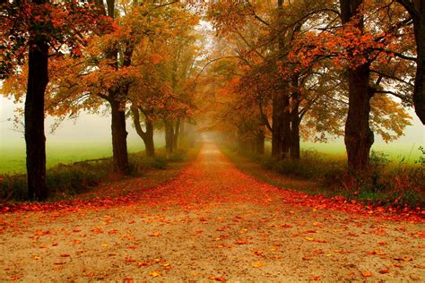 Autumn Path