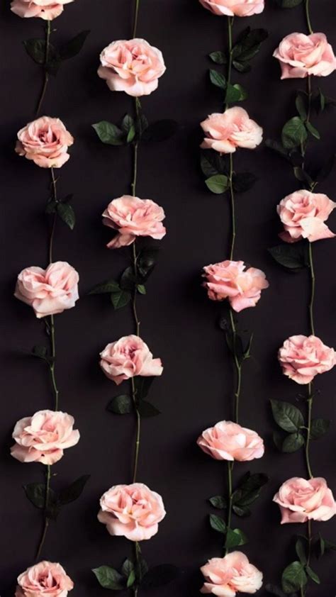 Stunningly Beautiful Pinterest Background Flower Wallpapers For Your