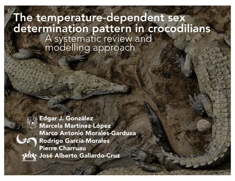 Pdf The Temperature Dependent Sex Determination Pattern In Free