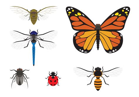 Insect Vector Art Icons And Graphics For Free Download