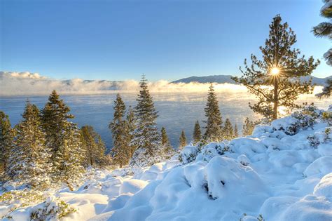 Fonds Decran Usa Lac Forêts Hiver Photographie De Paysage Lake Tahoe