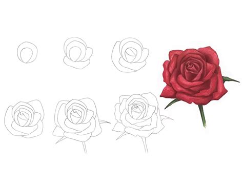 How To Draw A Rose For Beginners With Pencil Step By Step