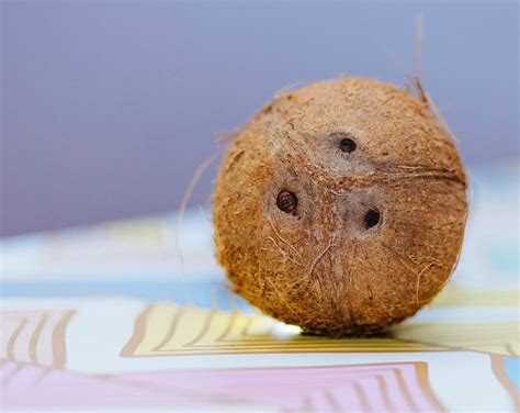 Coconut Recipes And Fun Facts For National Coconut Day June 26