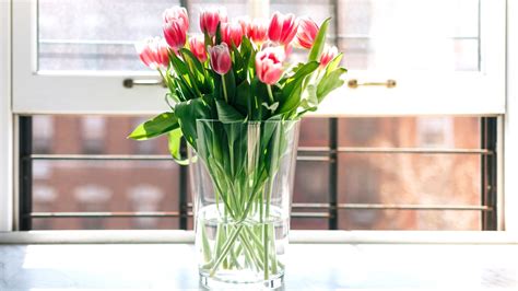 Bet you didn't know that adding vodka and sugar to the water in the vase can help fresh flowers last longer! How to Keep Flowers Alive | Glamour