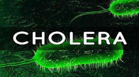 Cholera Cholera Disease Symptoms Cholera Prevention And Cholera Treatment