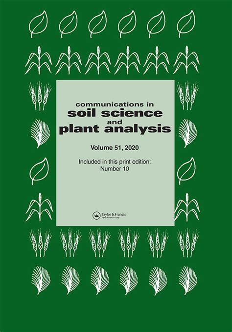 Sugarcane Bagasse Biochar Preparation Characterization And Its