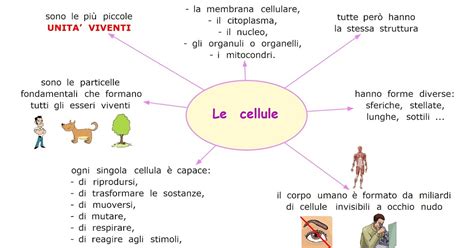 Paradiso Delle Mappe Le Cellule