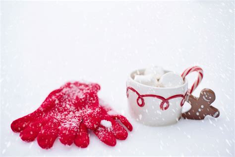 Free Images Snow Winter Petal Cup Hot Chocolate Heart Food