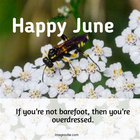 Best 30 Happy June Quotes With Images And Messages In 2024 Images Vibe