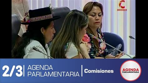 Sesión Comisión De La Mujer 23 61217 Youtube