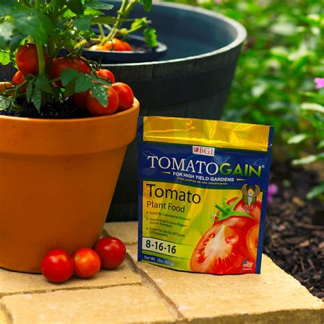 Best Fertilizer For Peppers And Tomatoes Cromalinsupport